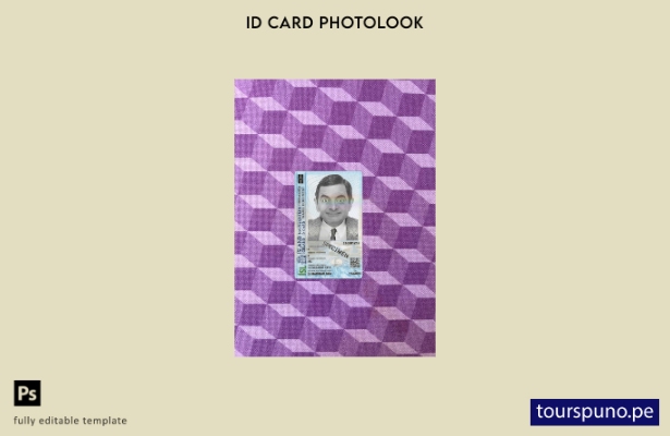 listo para imprimir tarjeta de identificación de Islandia presente plantilla fro